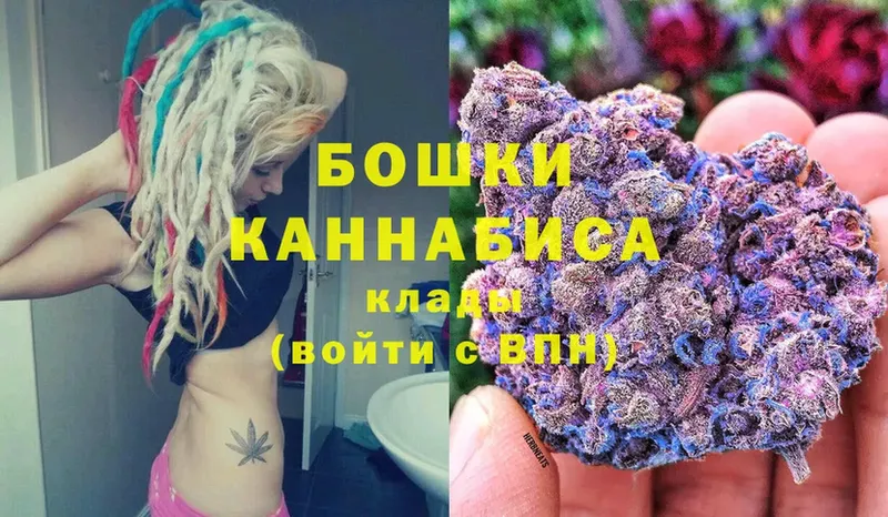 как найти наркотики  Калач-на-Дону  Бошки Шишки SATIVA & INDICA 